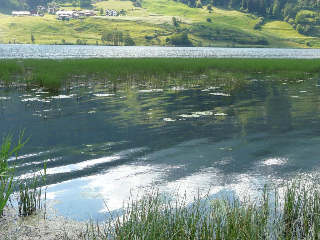 B & B Apartments Ortlerblick Schluderns Zewnętrze zdjęcie